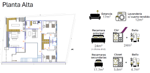 Planta alta27